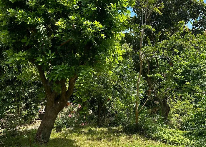 Secret Garden House Apartman *